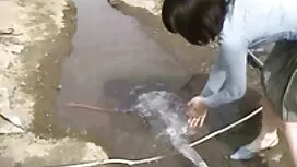 これらのbastardsでこれらのリサイ ...
