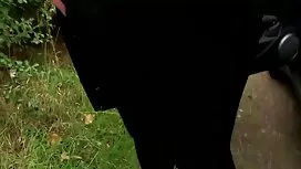 妻と三つの黒い男 女性 向け エッチ 無 ...